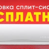 Исполнитель №68789, стаж 1 год