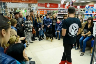 Дрессировка собак в Воронеже