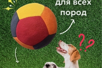 Инфографика