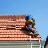 Исполнитель №100336, стаж 5 лет