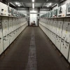Исполнитель №101119, стаж менее 1 года