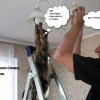 Исполнитель №101166, стаж 4 года