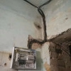Исполнитель №102484, стаж 3 года