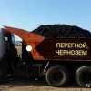 Исполнитель №103195, стаж 15 лет