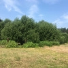 Исполнитель №103234, стаж 25 лет