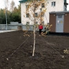 Исполнитель №103431, стаж 5 лет