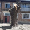 Исполнитель №104114, стаж 25 лет
