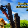 Исполнитель №104295, стаж 25 лет