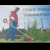 Исполнитель №104917, стаж 1 год