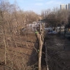 Исполнитель №105063, стаж 30 лет