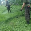 Исполнитель №105579, стаж 3 года