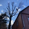 Исполнитель №106515, стаж 4 года
