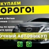 Исполнитель №107081, стаж 2 года