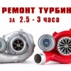 Исполнитель №110385, стаж 1 год