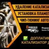 Исполнитель №110496, стаж 30 лет