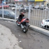 Исполнитель №110823, стаж 5 лет