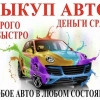 Исполнитель №111890, стаж 1 год