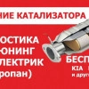 Исполнитель №111919, стаж 4 года