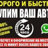 Исполнитель №112316, стаж 5 лет