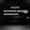 Исполнитель №113200, стаж 2 года
