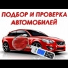 Исполнитель №113467, стаж 4 года