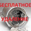 Исполнитель №113487, стаж 25 лет