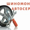 Исполнитель №113503, стаж 3 года