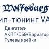 Исполнитель №113933, стаж 25 лет