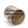 Исполнитель №114367, стаж 2 года