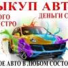 Исполнитель №114405, стаж 4 года