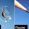 Исполнитель №114489, стаж менее 1 года