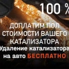 Исполнитель №114542, стаж 1 год