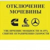 Исполнитель №114604, стаж 4 года