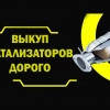 Исполнитель №114811, стаж 5 лет