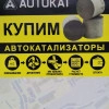 Исполнитель №114848, стаж 10 лет