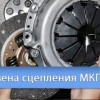 Исполнитель №115014, стаж 5 лет