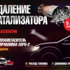 Исполнитель №115062, стаж 5 лет