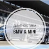 Исполнитель №115145, стаж 4 года