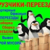 Исполнитель №115316, стаж 15 лет