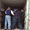 Исполнитель №115436, стаж 1 год
