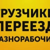 Исполнитель №115447, стаж 10 лет