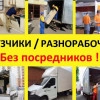 Исполнитель №115500, стаж 5 лет