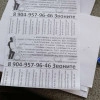 Исполнитель №115501, стаж 2 года