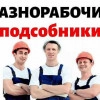 Исполнитель №115568, стаж 20 лет