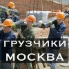 Исполнитель №115618, стаж 1 год