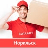 Исполнитель №115630, стаж 1 год
