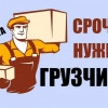 Исполнитель №115664, стаж 3 года