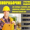 Исполнитель №115727, стаж 20 лет