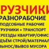 Исполнитель №115859, стаж 25 лет
