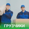 Исполнитель №115864, стаж 1 год